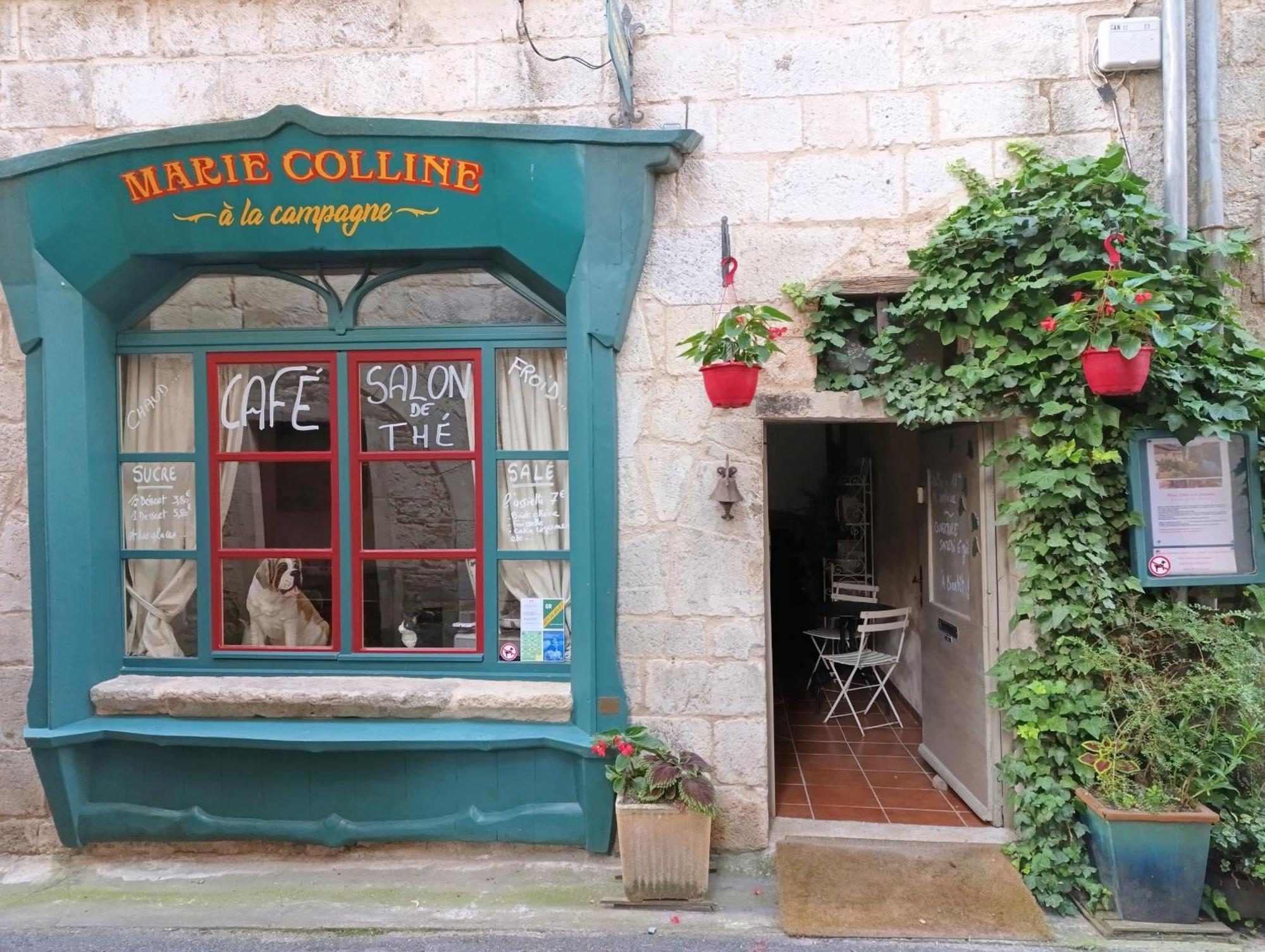 Marie Colline A La Campagne Panzió Saint-Antonin Kültér fotó